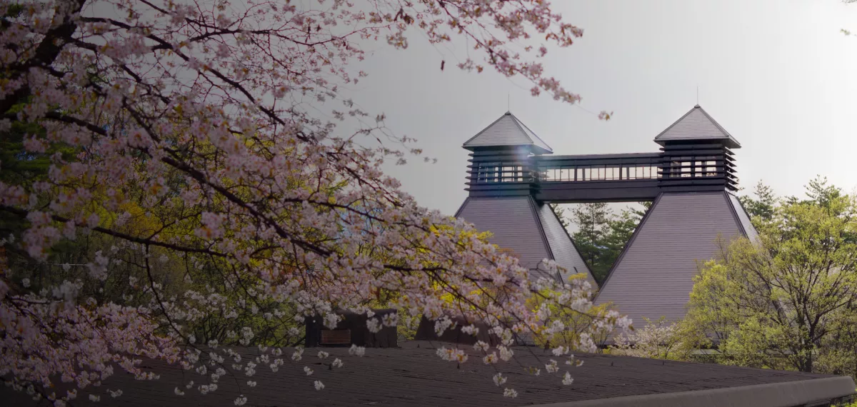 A serene Japanese distillery, blending nature and craft.
